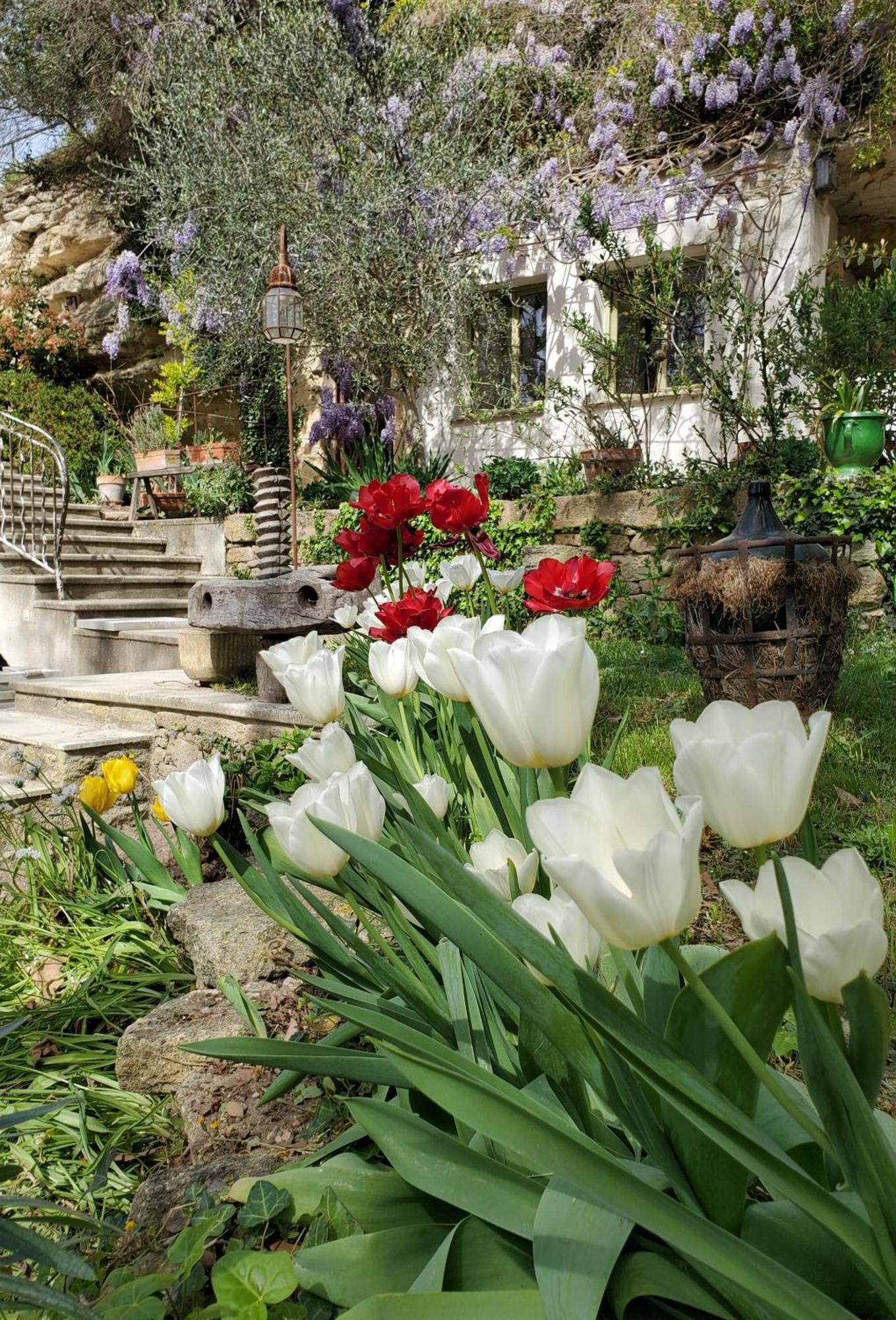 Moulin De Bonfilhon Bed & Breakfast Cornillon-Confoux Dış mekan fotoğraf